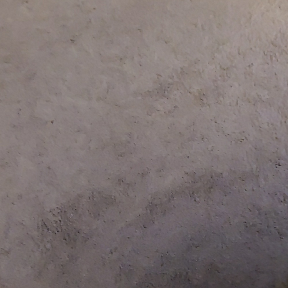 Meet your Posher, Candida